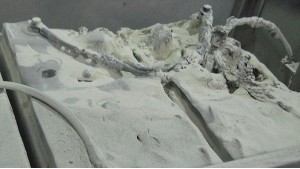 鈺鑫電氣提示您如何預(yù)防蓄電池發(fā)生故障？